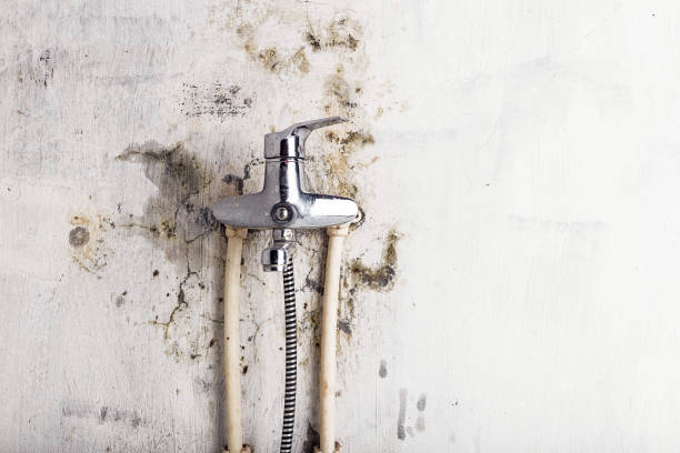 Home Mold Removal in Bargaintown, NJ